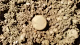 20150404_141102.webp