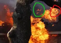 flamedemons1.webp
