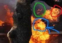 fire.webp