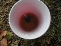 100_3408.webp