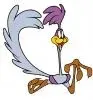 Road Runner.webp