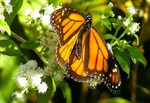 HSPICTURES 294-Changed.webp
