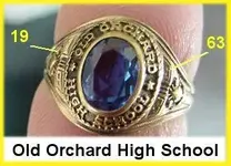 orchard1.webp
