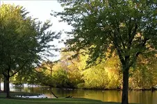 HSPICTURES 324-Changed.webp