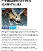 gerbil.webp
