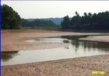 Untitled.webp