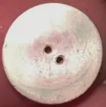 Button Shell Obverse.webp