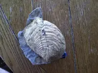 downsized_0410150839.webp