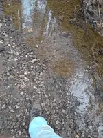 ForumRunner_20150322_160120.webp