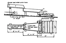 1 a.webp
