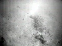 f5143920.webp