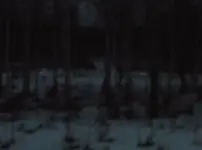 8Jo4_3ulJs4.webp