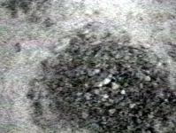 f5142048.webp