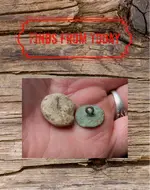 ImageUploadedByTreasureNet.com1429546073.531946.webp