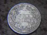 DSCN0255.webp