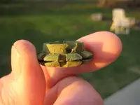 unknown relic 004.webp