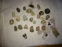 ImageUploadedByTreasureNet.com1428363625.486435.webp