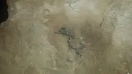 20150322_084437.webp