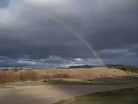 Rainbow.webp