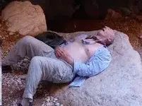 napping rock.webp