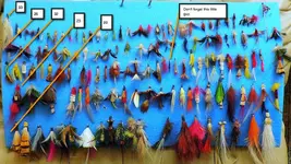 Flies.webp