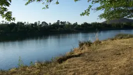 100_4963.webp