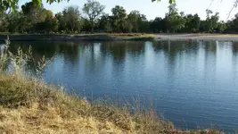 100_4964.webp