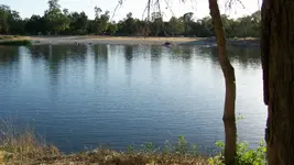 100_4965.webp