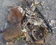 5_02_2015 CZ part dux the trash.webp