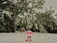 mothers day snow 2.webp