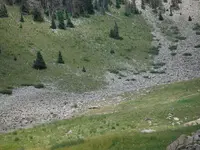 Greg 1 076.webp