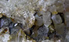 crystalteethsm3.webp