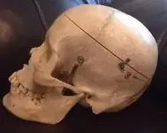 mvwUqjSVDpb6naOeJdUn0qA.webp