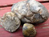 blue rock group1.webp