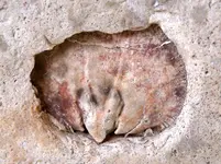 DSC01397.webp