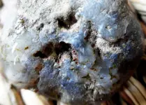 opal black2.webp