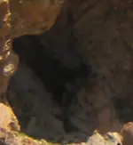 159 (2)crop7.webp
