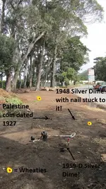Prrk finds 4-26-15 001.webp
