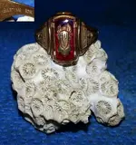 Gold Ring #3 2015.webp