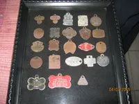 2015 dog tax tags 001.webp