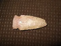 DSCN0213.webp