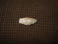 DSCN0215.webp