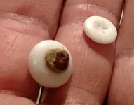 Porcelin Buttons.webp