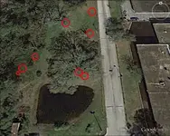 Back CVS- chancey55.webp