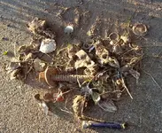 4_26_2015 todays trash.webp