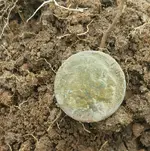 buffalo nickel.webp buffalo nickel.webp