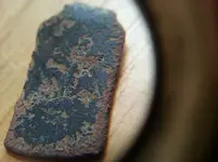 closeup resized.webp