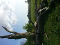 20150509_173607.webp