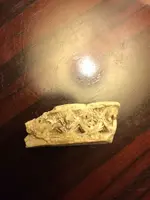 ImageUploadedByTreasureNet.com1428385580.872816.webp