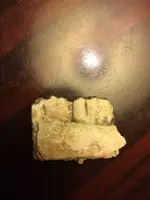 ImageUploadedByTreasureNet.com1428385600.758030.webp